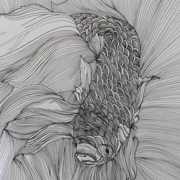 针管笔练习