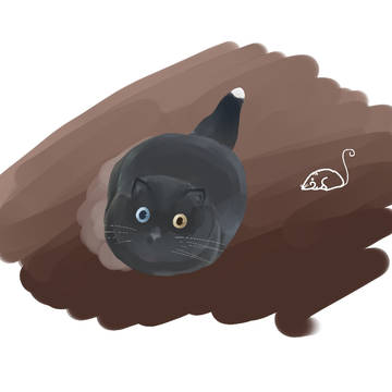 猫