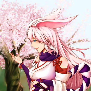 崩壊3rd 八重桜