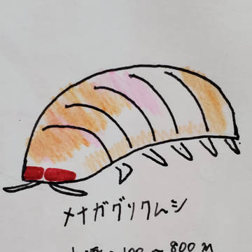 (な)毎日絵本㊵「深海×日常」
