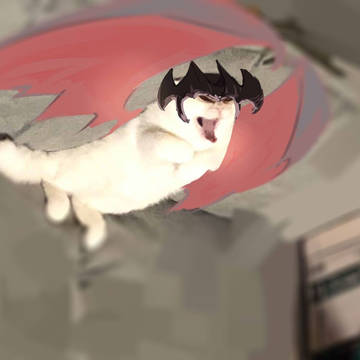 恶 魔 猫
