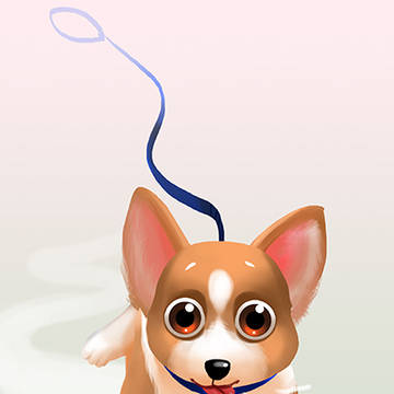 Baby Corgi