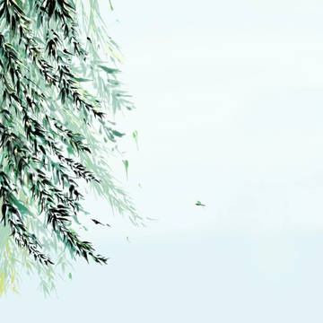柳树