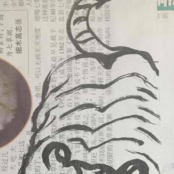 涂鸦