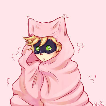子猫