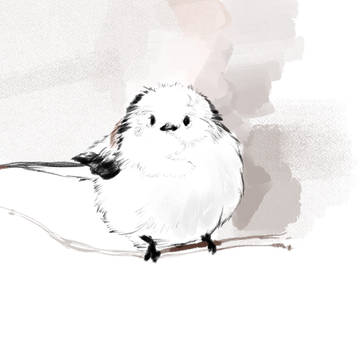 シマエナガ様