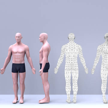 anatomy