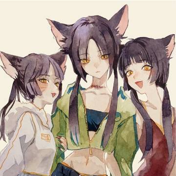 野良ねこ3姉妹