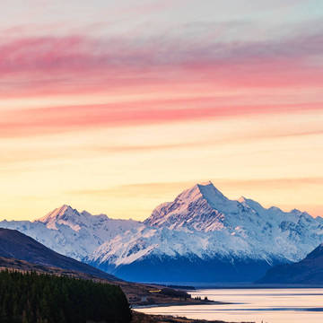 山