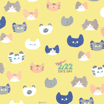 CATS DAY