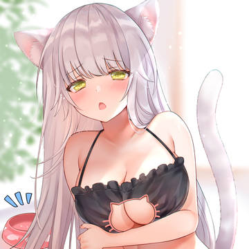 甘えた声で催促してくるねこ