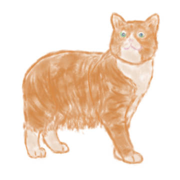 猫さんトレス