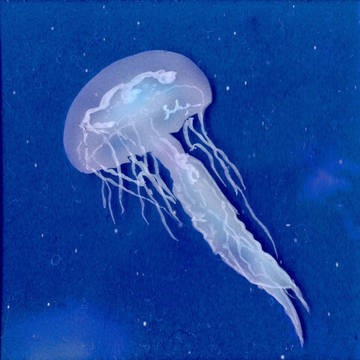 【毎日一絵チャレンジ】jellyfish（クラゲ）4