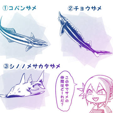 #19．おい風香