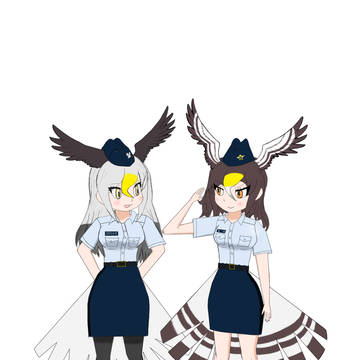 Bald Eagle and Northern Goshawk