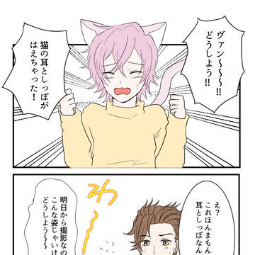 【ヴァンナギ】猫の日