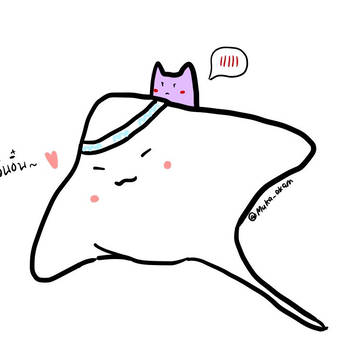 Stringray LXC