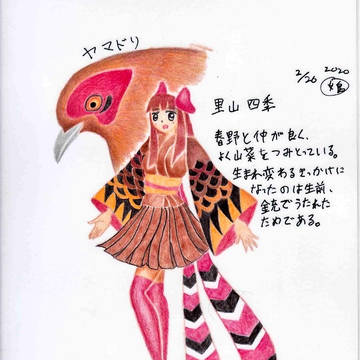 ヤマドリ