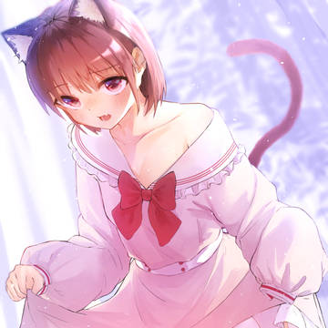 ご主人~これ少し大きいニャ~