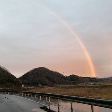 朝焼けの虹
