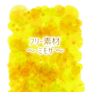 【フリー素材】ミモザ