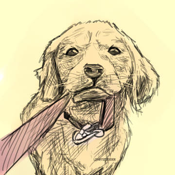 子犬