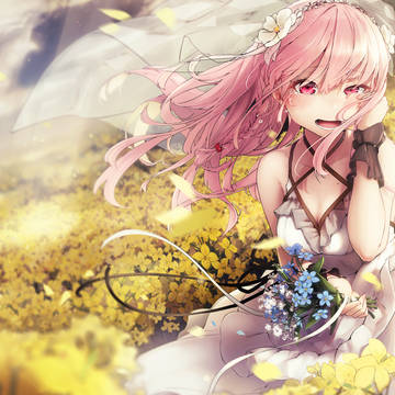 菜の花