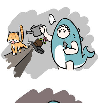 养猫日常高血压