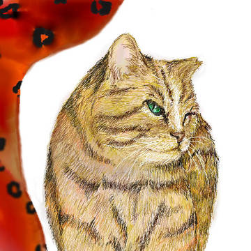 劇団四季　CATS  グロールタイガー