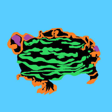 Nembrotha kubaryana