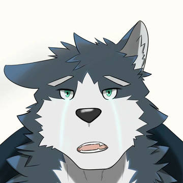 泪