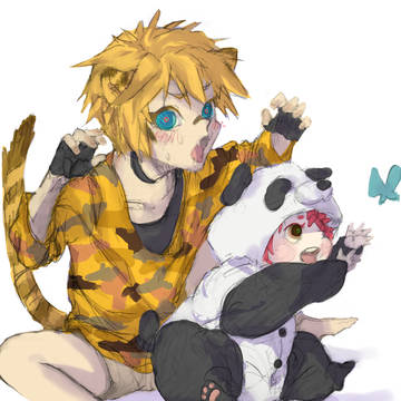 🐯🐼
