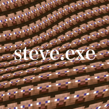 steve.exe