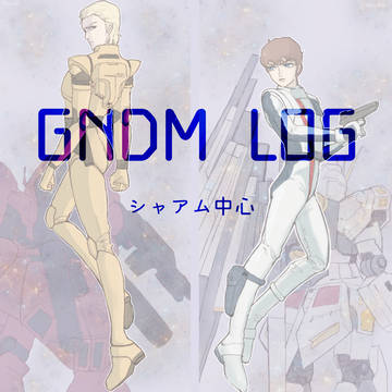 シャアム中心log