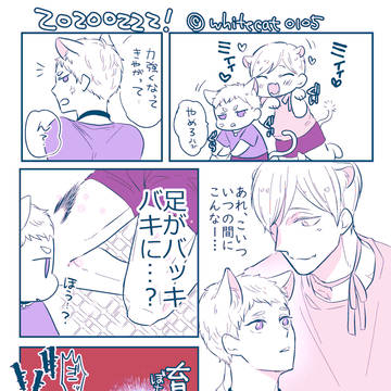 ねこのひ