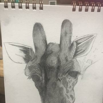 キリンさん