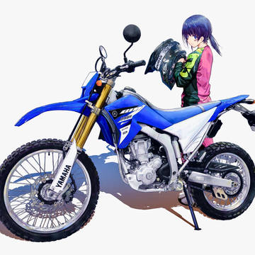 WR250R