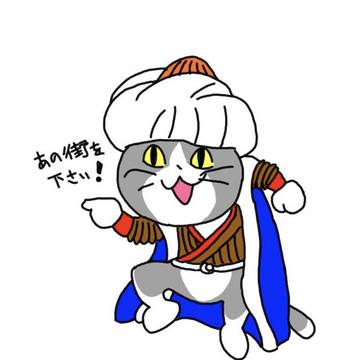 トルコの現場猫