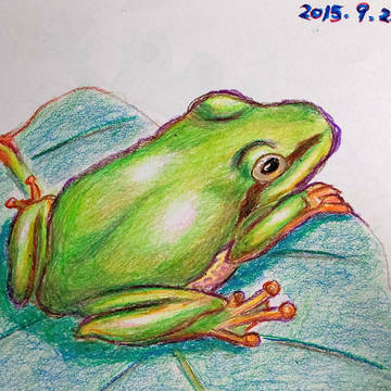 昔描いたカエル