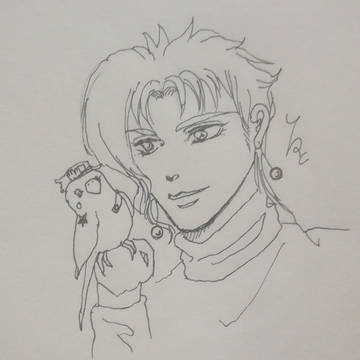 花京院と承太郎インコ2