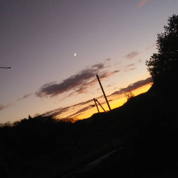 夕日