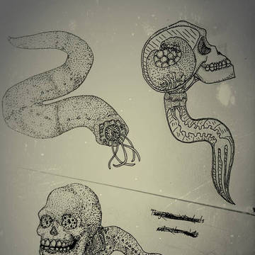 尸蛭
