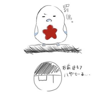 小鳥ちゃんとハゲ