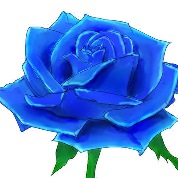 薔薇