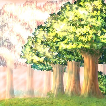 夕方の林　