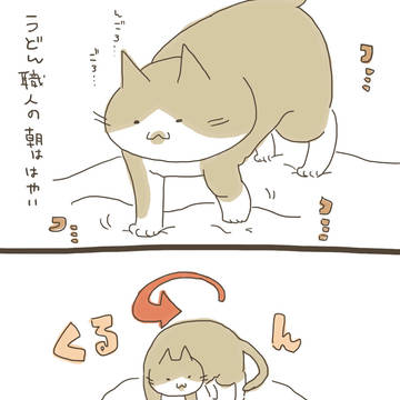 こなつさんはおてんばネコチャン３