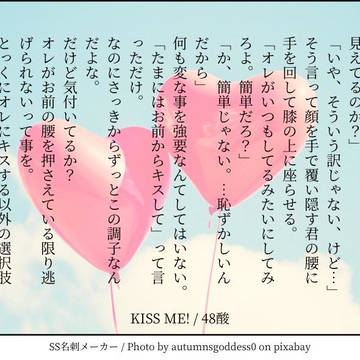 48酸詰め合わせ