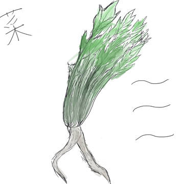 水菜