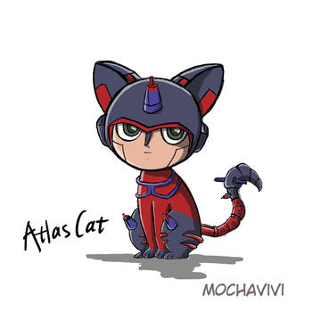 atlas cat