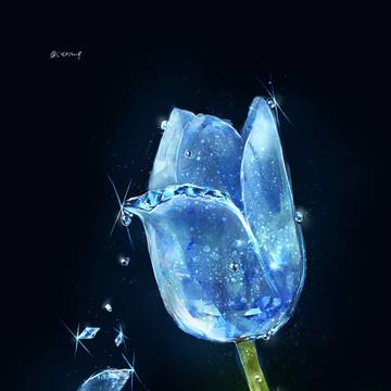霜夜に咲く華